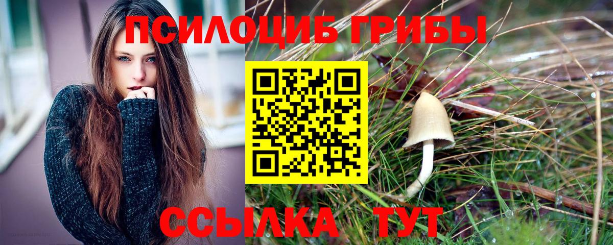Псилоцибиновые грибы Magic Shrooms Мариинск