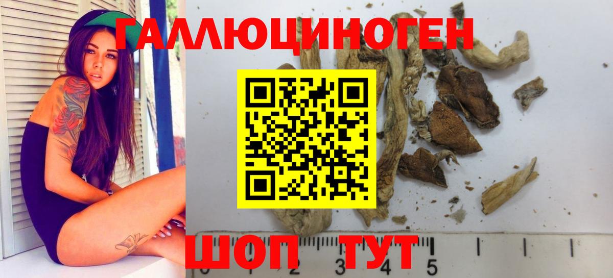 Псилоцибиновые грибы Psilocybine cubensis  Вход с VPN  Мариинск 